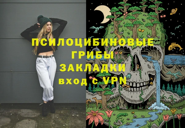 PSILOCYBIN Абдулино