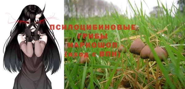 apvp Абаза