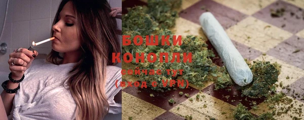 PSILOCYBIN Абдулино