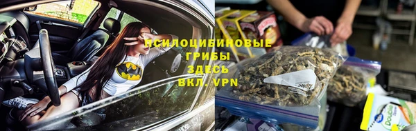 PSILOCYBIN Абдулино
