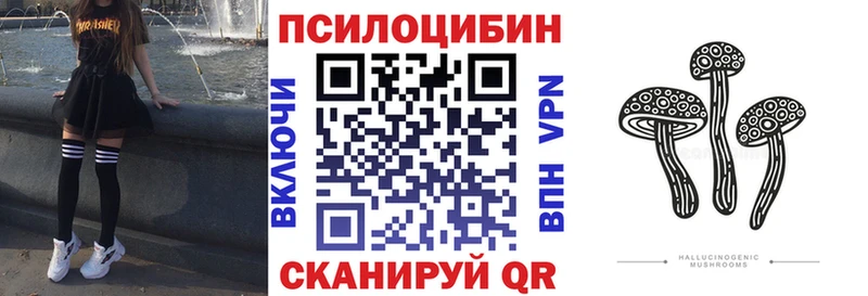 ОМГ ОМГ зеркало  Ильский  Псилоцибиновые грибы Cubensis  наркотики 